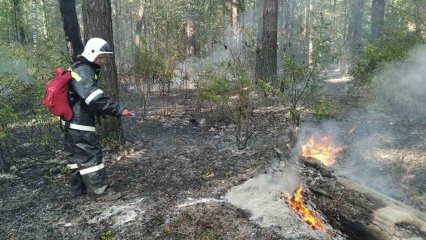 В Ульяновской области ожидается чрезвычайная пожарная опасность 
