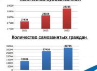 В Ульяновске растет число предпринимателей и самозанятых