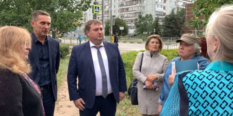 Осенью в Заволжье высадят новые деревья и кустарники