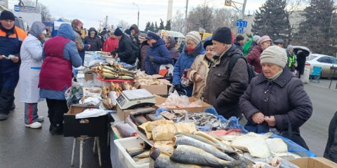 Ярмарочная торговля на улице Минаева ведётся со 168 машин