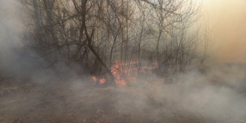 В Ульяновске усиливают противопожарную профилактику