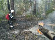 В Ульяновской области ожидается чрезвычайная пожарная опасность 
