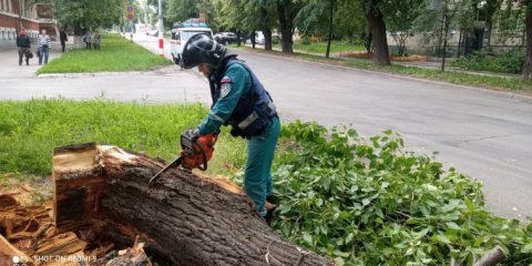 В Ленинском районе Ульяновска убрали аварийное дерево