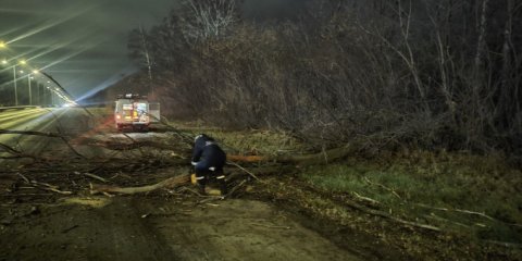 В Ульяновске оперативно ликвидируют последствия сильного ветра