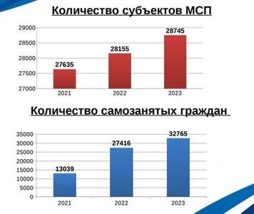 В Ульяновске растет число предпринимателей и самозанятых