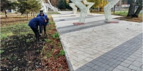 Более 6,5 тысяч деревьев и кустарников высадили в этом году на улицах Ульяновска