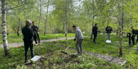 В Ульяновске началось осеннее благоустройство улиц и дворов