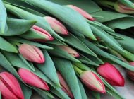 «Музыка весны»: как ульяновцы отметят Международный женский день?