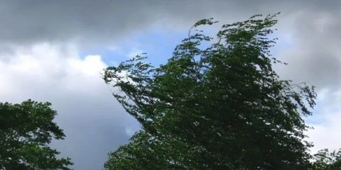 В Ульяновске прогнозируют сильный ветер