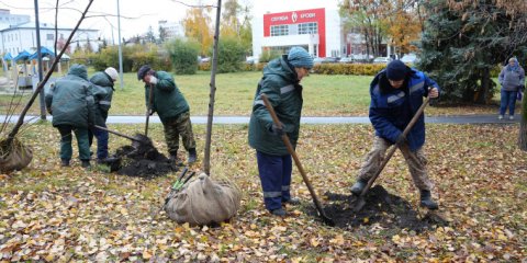 В сквере Строителей в Ульяновске высадили новые деревья