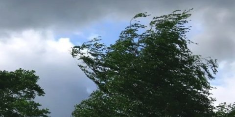В Ульяновске прогнозируют усиление ветра