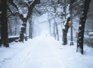 В Ульяновске ожидается сильный снег и метель