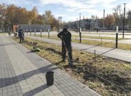 В Ульяновске озеленили новую входную группу перед парком «Победы»