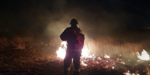 В Ульяновске начались ландшафтные пожары