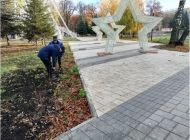 Более 6,5 тысяч деревьев и кустарников высадили в этом году на улицах Ульяновска