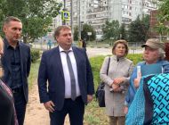 Осенью в Заволжье высадят новые деревья и кустарники