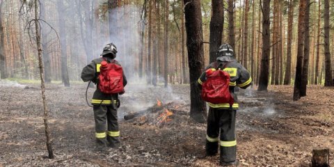 В Ульяновской области сохранится чрезвычайная пожарная опасность 