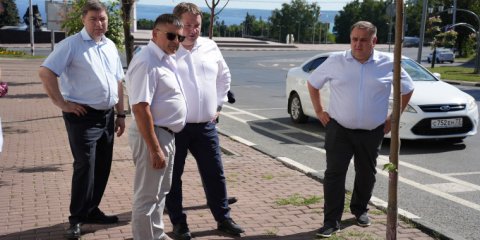 В центре Ульяновска улучшат условия для приживаемости деревьев