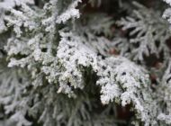 Все городские службы Ульяновска готовятся к ликвидации последствий ледяного дождя