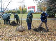 В сквере Строителей в Ульяновске высадили новые деревья