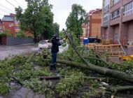 В Ульяновске городские службы устраняют подтопления на улицах и убирают упавшие деревья