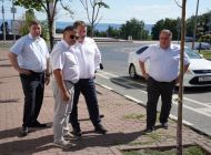 В центре Ульяновска улучшат условия для приживаемости деревьев