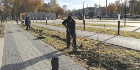 В Ульяновске озеленили новую входную группу перед парком «Победы»