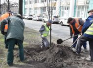 В Ульяновске начали озеленять улицы