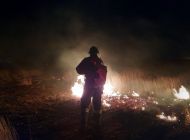 В Ульяновске начались ландшафтные пожары