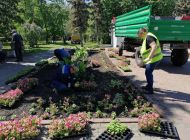 Ульяновск этим летом украсят больше 700 тысяч цветов