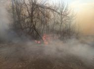 В Ульяновске усиливают противопожарную профилактику