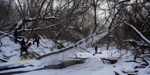 На реке Сельдь обнаружено 35 древесных завалов