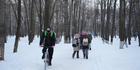 Парк «Молодёжный» в Засвияжском районе продолжат развивать на основе мнения ульяновцев