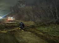 В Ульяновске оперативно ликвидируют последствия сильного ветра
