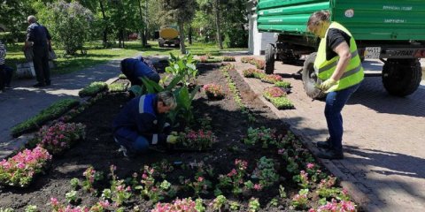 Ульяновск этим летом украсят больше 700 тысяч цветов