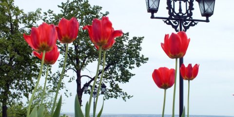 В Ульяновске запускают туристический квест колобка
