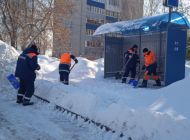 8 февраля в Ульяновске пройдет зимний субботник