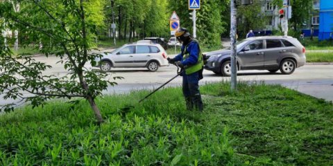 31 мая в Ульяновске пройдет очередная «санитарная пятница»