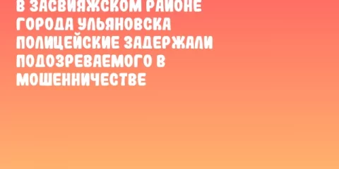 В Засвияжском районе города Ульяновска полицейские задержали подозреваемого в мошенничестве