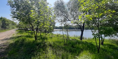 В ульяновском микрорайоне Мостовая продолжают обустраивать зону отдыха на берегу Свияги