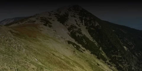 В Вешкаймском районе полицейские задержали двух подозреваемых в хищении имущества В Вешкаймском районе полицейские задержали двух подозреваемых в хищении имущества