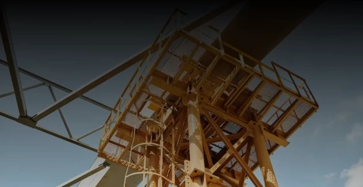 В Ульяновске до конца осени дополнительно высадят почти 2400 зелёных насаждений