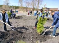 Глава Ульяновска Александр Болдакин утвердил план осеннего озеленения