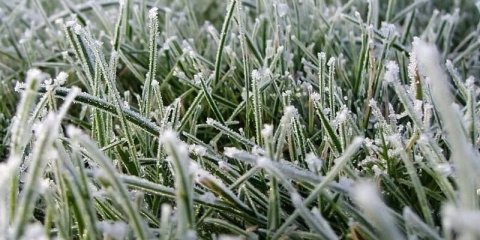 В Ульяновске ожидаются заморозки