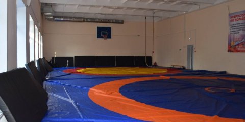 Восемь ульяновских спортивных школ будет отремонтировано к новому учебному году