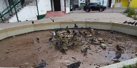 В Ульяновске испортили фонтаны: вандалы атаковали объекты благоустройства