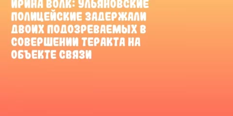 Ирина Волк: Ульяновские полицейские задержали двоих подозреваемых в совершении теракта на объекте связи