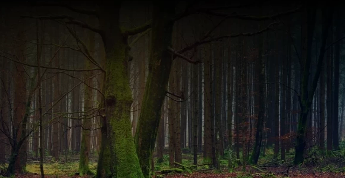 В Ульяновске прошла торжественная церемония возложения цветов к памятнику Героя России Дмитрия Разумовского