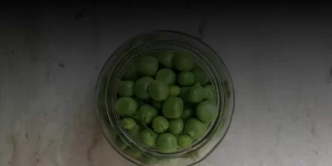 Больше трёх тысяч ульяновцев приняли участие в городском субботнике