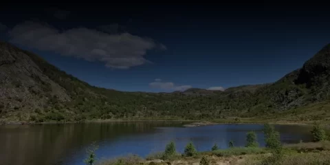 В Ульяновске наградили победителей первого экологического конкурса «Экология в фокусе» В Ульяновске наградили победителей первого экологического конкурса «Экология в фокусе»